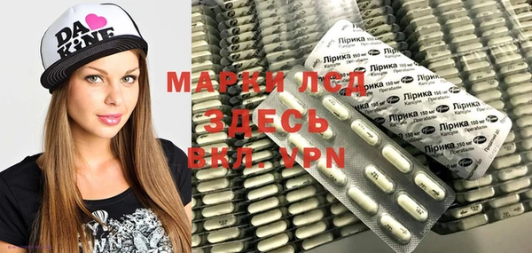 шишки Богородицк