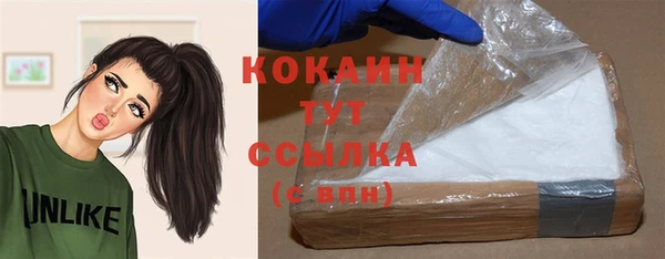 шишки Богородицк