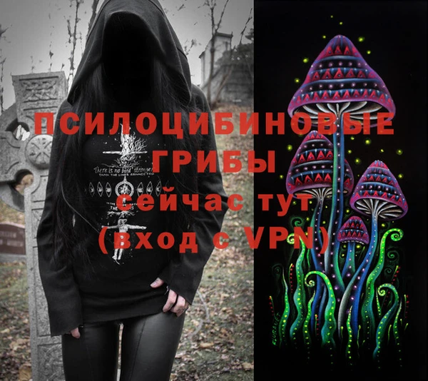 шишки Богородицк