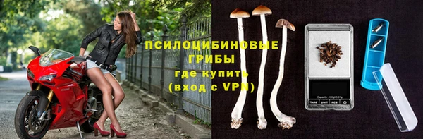 хмурый Белокуриха