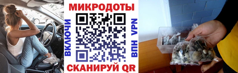 Псилоцибиновые грибы Psilocybe  Тулун 